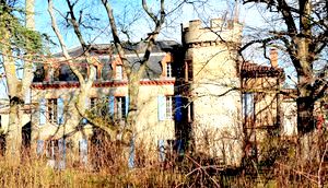 ..\image\image_81\81_Guitalens_6.jpg