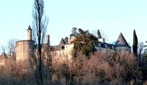../image/image_82/82_Cornusson_8.jpg