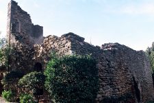 ../image/image_83/83_Bormes_Mimosas_2.jpg