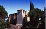 ../image/image_83/83_Bormes_Mimosas_4.jpg