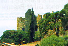 ../image/image_83/83_Bormes_Mimosas_5.jpg