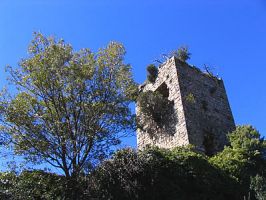 ../image/image_83/83_Chateaudouble_Garde_6.jpg