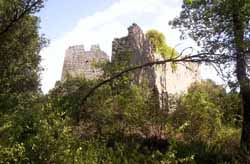../image/image_83/83_Chateauvert_2.jpg
