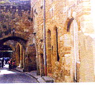 ../image/image_84/84_Aubignan_2.jpg
