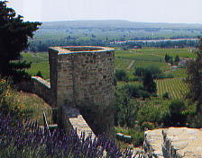 ../image/image_84/84_Cairanne_4.jpg
