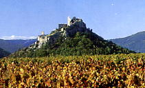 ..\image\image_84\84_Entrechaux_6.jpg