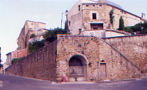 ../image/image_84/84_Grillon_4.jpg