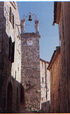 ../image/image_84/84_Lacoste_5.jpg
